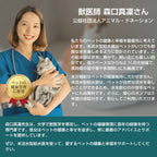 自動給水器 猫 犬