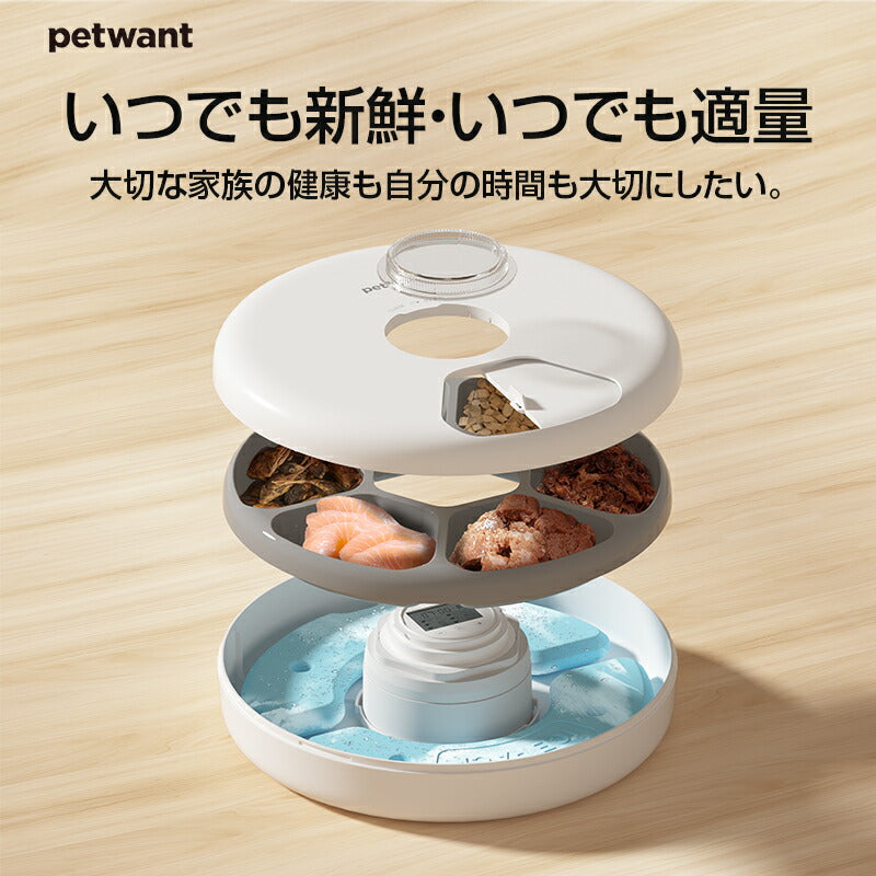 自動給餌器 ウェットフード