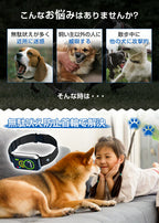 無駄吠え防止 首輪