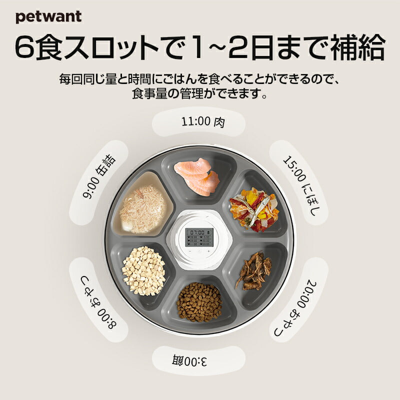 自動給餌器 ウェットフード