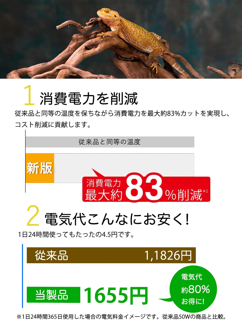 爬虫類 ヒーター