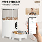 最新ダブルカメラ