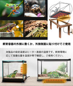 爬虫類 ヒーター