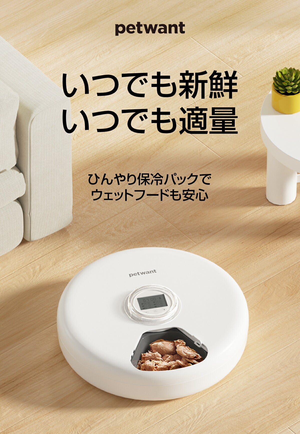 自動給餌器 ウェットフード