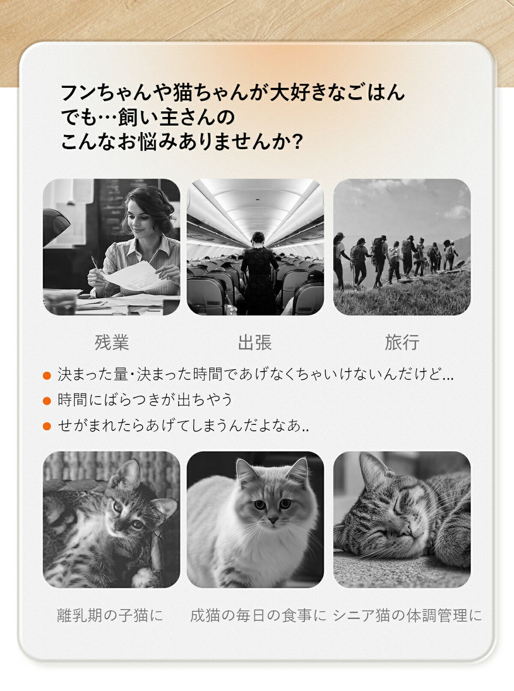 自動給餌器 ウェットフード