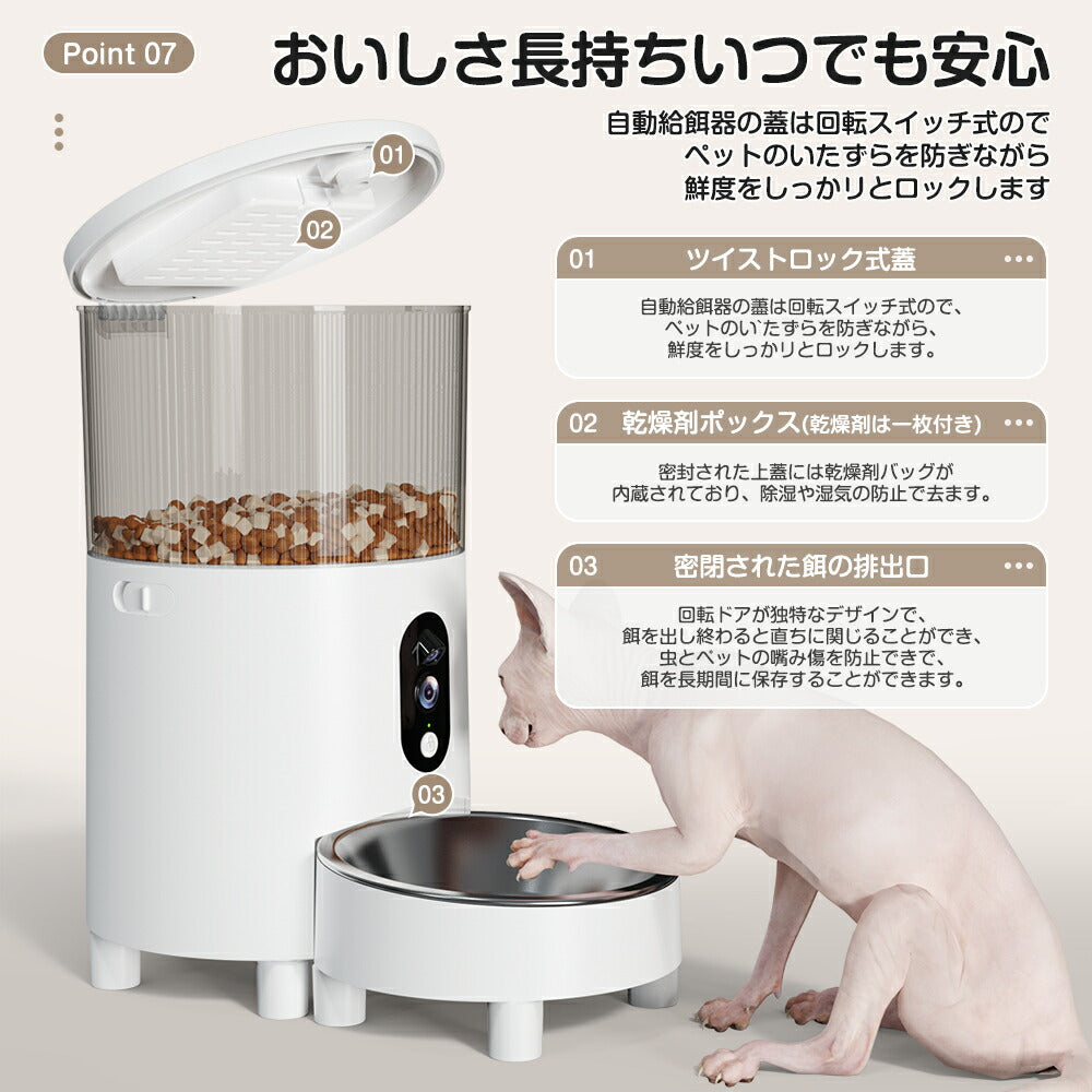 最新ダブルカメラ