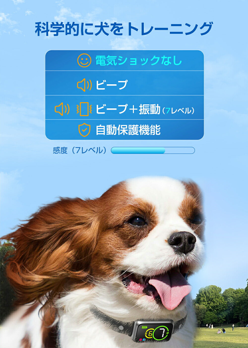 無駄吠え防止 首輪