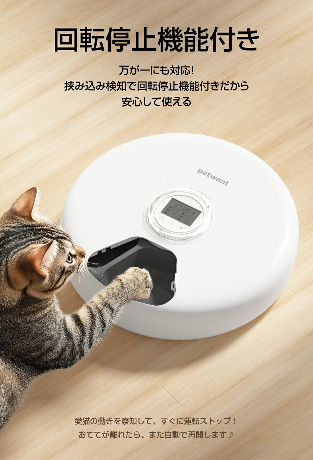 自動給餌器 ウェットフード