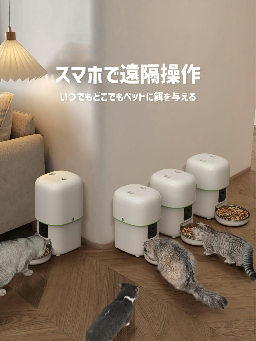 【カメラ調整可能】 自動給餌器